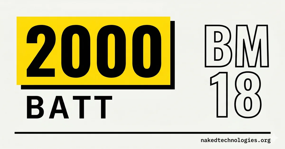 NEW ANGIE BM18 2000 Вт: обзор диодного лазера — Naked Technologies